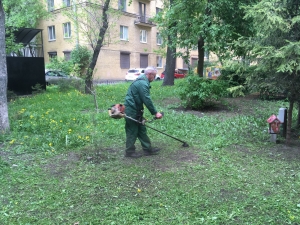 Покос травы