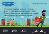 Хотите сделать свой двор красивым, дружным и экологичным?