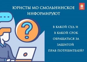 В какой суд и в какой срок обращаться за защитой прав потребителей? Разъясняют юристы МО Смольнинское
