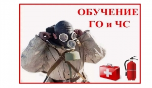 Учебно&ndash;консультационный пункт МО Смольнинское по ГО и ЧС