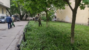 Началась летняя пора, а с ней и работы по покосу травы
