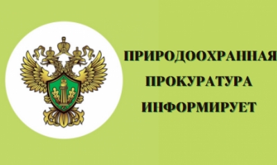 Твердые коммунальные отходы: основы и порядок обращения.