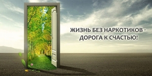 Участие представителей МО Смольнинское в антинаркотической комиссии