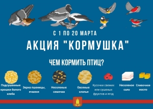 Продолжается наша добрая экологическая акция &laquo;КОРМУШКА&raquo;!
