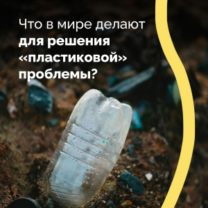 Глобальное обязательство &laquo;Новая экономика пластика&raquo;