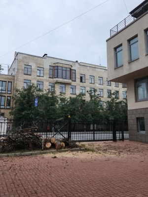 Дневник благоустройства: снос аварийных деревьев, подрезка деревьев и кустарников