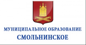 Информационное сообщение о начале процедуры формирования общественного совета  при местной администрации внутригородского муниципального образования города федерального значения Санкт-Петербурга муниципальный округ Смольнинское