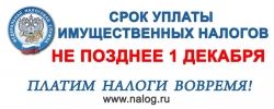 Внимание! Срок уплаты имущественных налогов - до 1 декабря