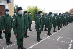 Внимание, начался осенний призыв