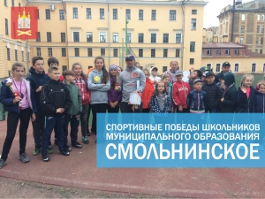 Спортивные победы школьников муниципального образования Смольнинское