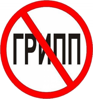 в Петербург пришла эпидемия гриппа