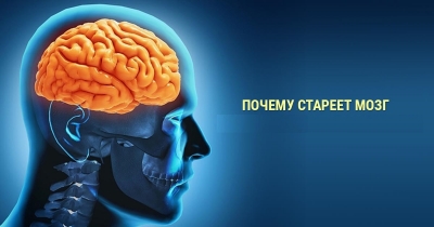 Исследование: Как связаны алкоголь и курение со старением мозга
