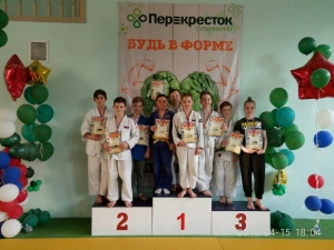 &laquo;Золото&raquo; дзюдоистов муниципального образования Смольнинское