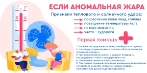 При аномальной жаре