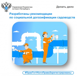 Росреестр Петербурга: разработаны рекомендации  по социальной догазификации садоводств