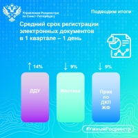 Средний срок регистрации электронных документов в Петербурге &ndash; 1 день