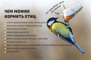 Уважаемые жители муниципального образования Смольнинское!