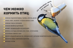 Уважаемые жители муниципального образования Смольнинское!