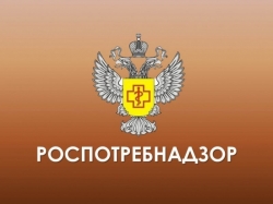 Консультирование по вопросам защиты прав потребителей и санитарно-эпидемиологического благополучия населения