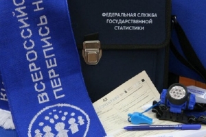 Федеральная служба государственной статистики (Росстат) в 2020 г. проведет очередную перепись населения в России.