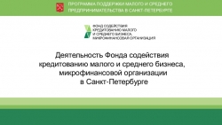Некоммерческой организации &laquo;Фонд содействия кредитованию малого и среднего бизнеса, микрокредитная организация&raquo;