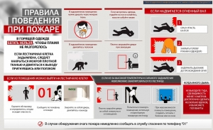 Уважаемые жители муниципального образования Смольнинское!