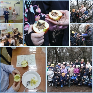 Съедобная кормушка для птиц