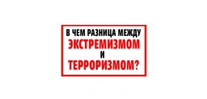Разница между экстремизмом и терроризмом