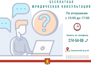 Бесплатная помощь юриста МО Смольнинское
