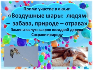 Друзья! Давайте беречь природу - откажемся на праздниках запускать шары!
