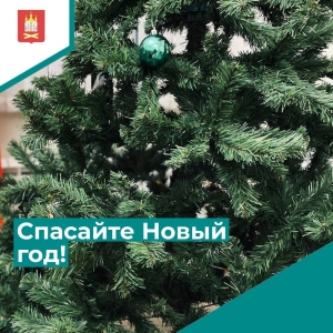 Новый Год может пропасть!