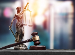 Санкт-Петербургский городской суд признал правоту главы округа Григория Ранкова