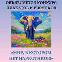 В МО Смольнинское  - &laquo;МИР, В КОТОРОМ НЕТ НАРКОТИКОВ!&raquo;