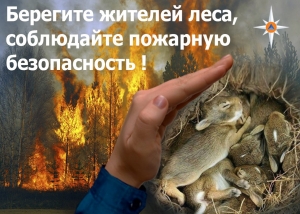 БЕРЕГИТЕ ЛЕС ОТ ПОЖАРОВ