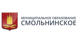 Информация о заседании Муниципального Совета