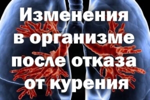 Если бросить курить приблизительно в 30 лет, то общая продолжительность жизни возрастает в перспективе на 10 лет