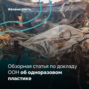 Обзорная статья по докладу ООН "Single-Use Plastics. A Roadmap for Sustainability"