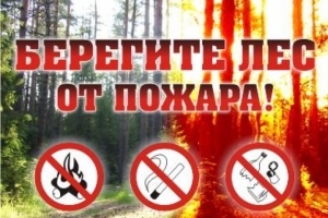 Берегите лес от пожара!