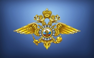 На службу в органы внутренних дел в добровольном порядке принимаются граждане Российской Федерации.