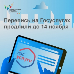 Перепись населения в онлайн формате продлили до 14 ноября
