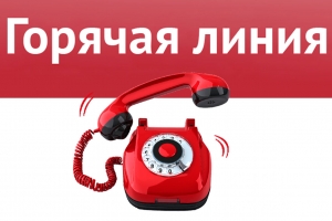 Горячая линия для иностранных граждан (трудовых мигрантов)