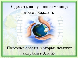 Что можете сделать лично Вы, чтобы помочь сохранить климат на нашей планете