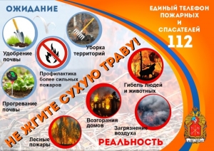 Не жгите сухую траву!