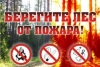 Берегите лес от пожара!