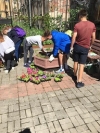 И вновь о делах цветочных &hellip;