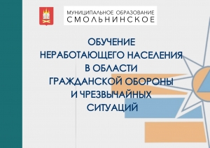 ТЕМА № 5 Общие понятия об устойчивости функционирования организаций, отнесенных к категориям по гражданской обороне