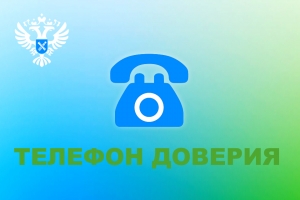 Росреестр Петербурга: телефон доверия