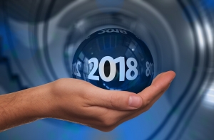 2018 год в муниципальном образовании Смольнинское